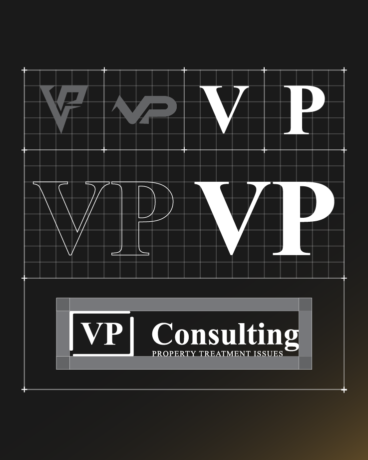 VP Consulting case study image 2